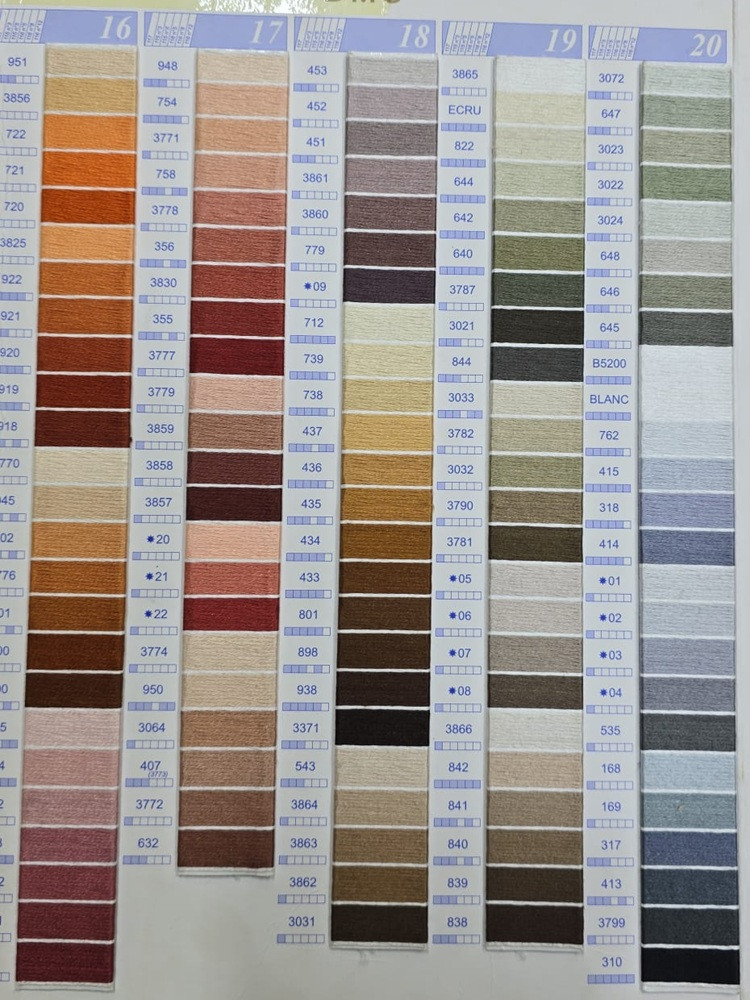 DMC Muline Nakış İpliği